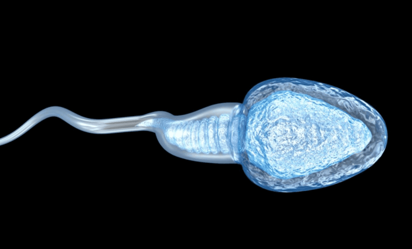 sterilitet_bezplodie_dieta_sport_dobavki_6