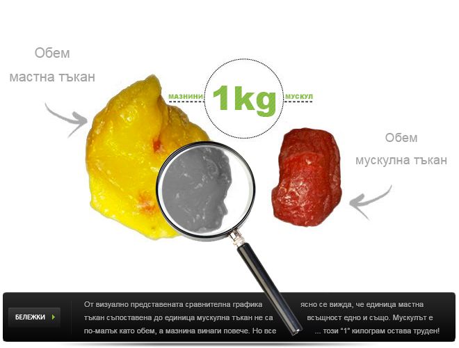 dieta_io_io_efekt_otslabvane