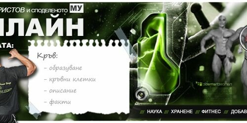 Кръв. Кръвни клетки. Синтез на кръвни телца.