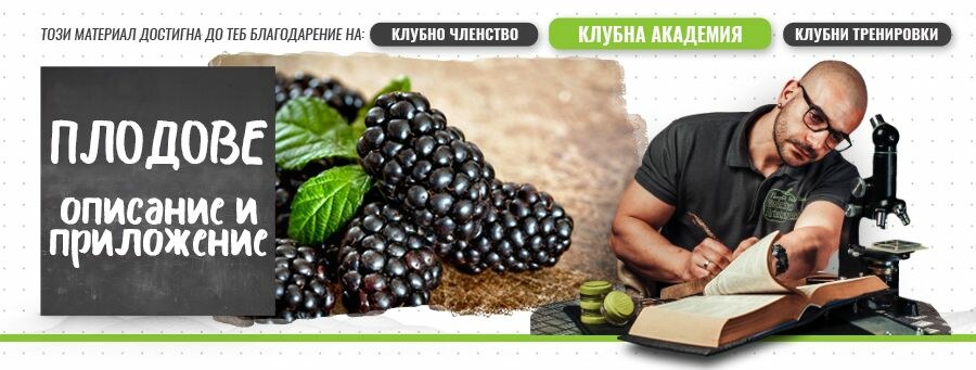 Кои плодове да изберем? Кога и как да ги консумираме, ако сме на диета?