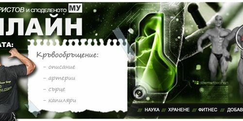 Кръвообращение. Движение на кръвта.