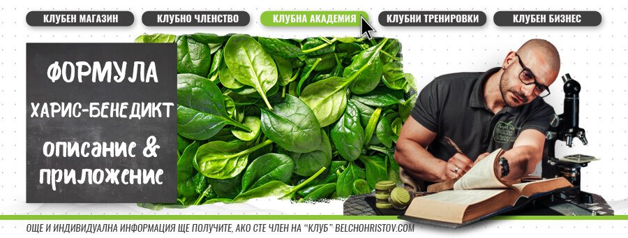 Изчисляване на калориите за всяка диета – формула Харис Бенедикт