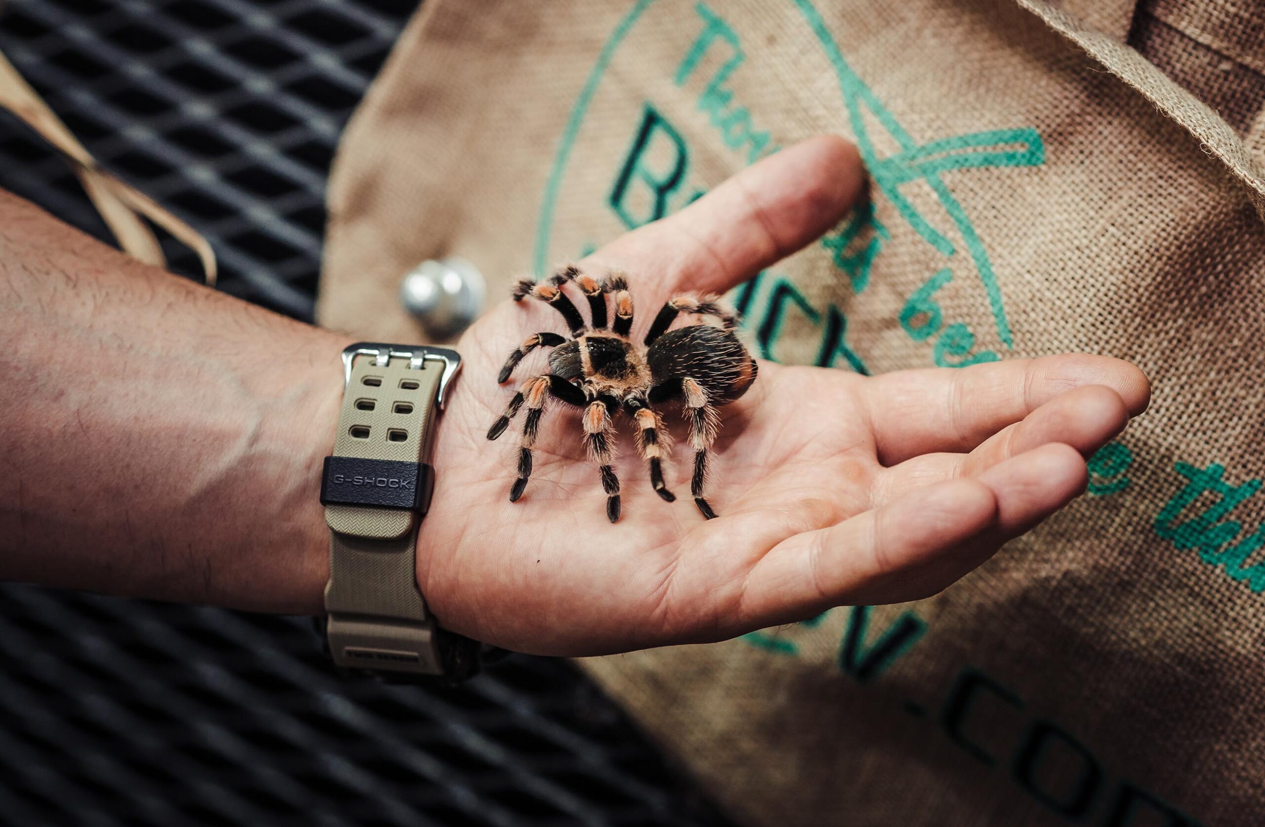 magazin_belcho_hristov_8