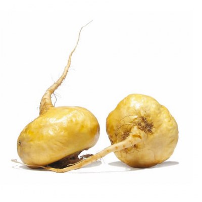 Корен мака | Maca root – състав, калории, рецепти и приложение в диетите