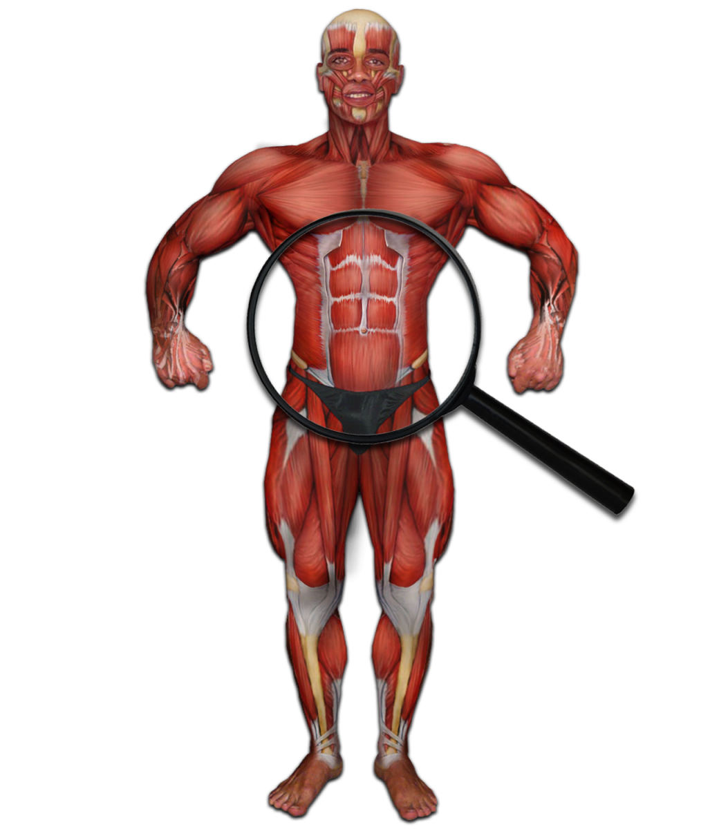 belcho_koremna_presa