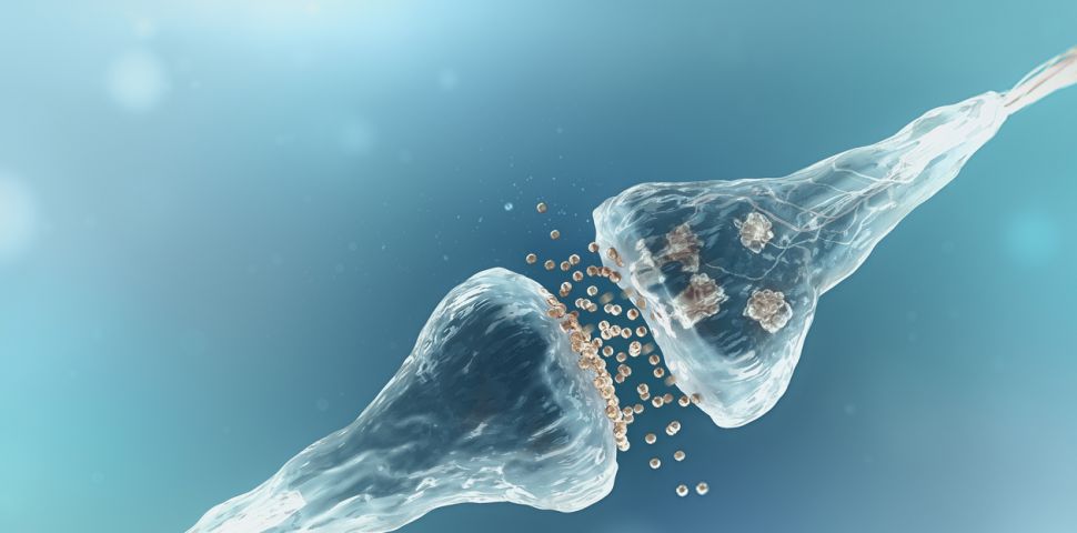 glutamass_yamamoto_nutrition_1