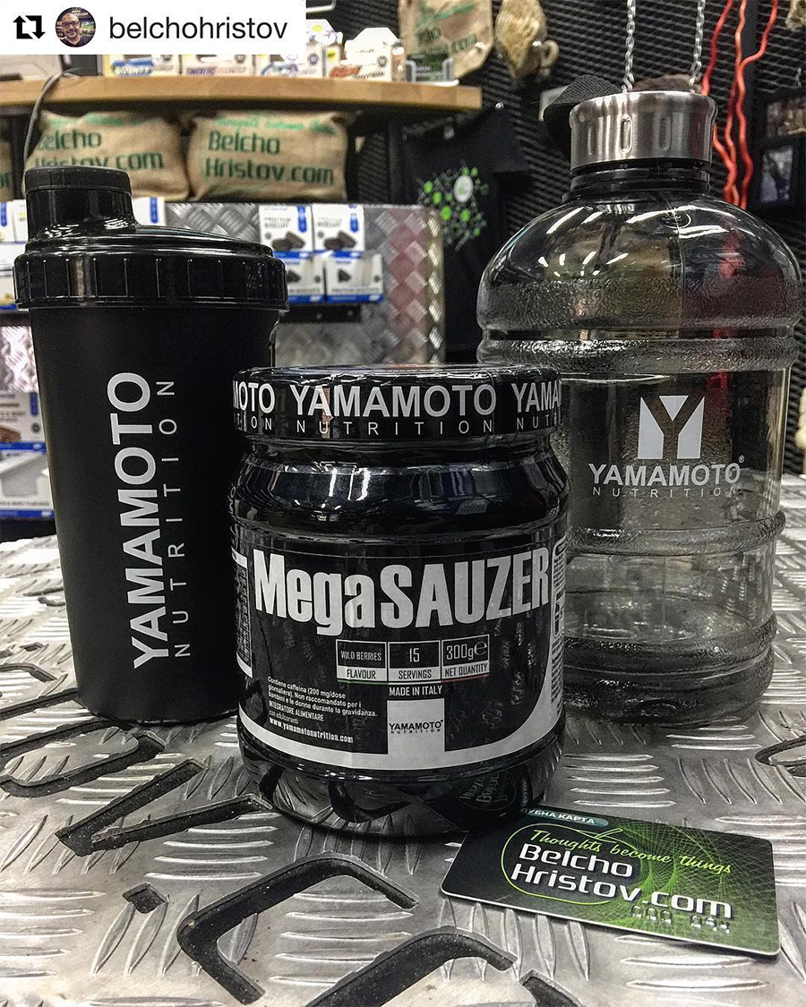 mega_sauzer_yamamoto