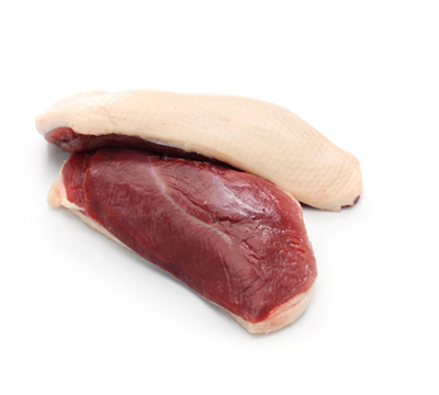 Патешко месо | Duck – състав, калории, рецепти и приложение в диетите