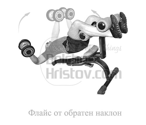 Флайс от обратен наклон с дъмбели
