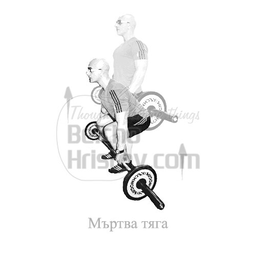Мъртва тяга с щанга