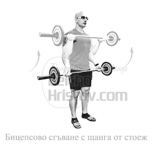 Бицепсово сгъване с щанга от стоеж