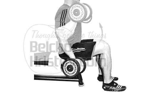 Бицепсово сгъване с дъмбели от седеж