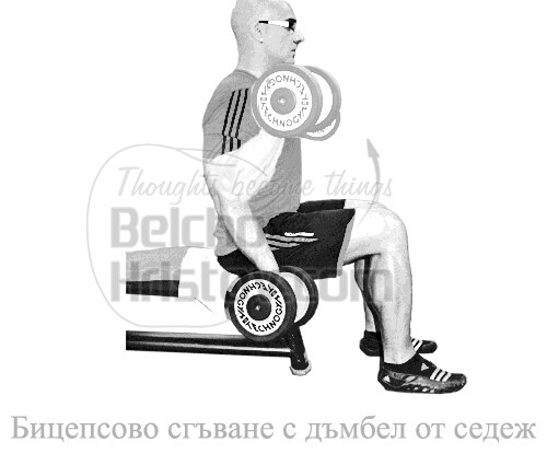 Бицепсово сгъване с дъмбели от седеж