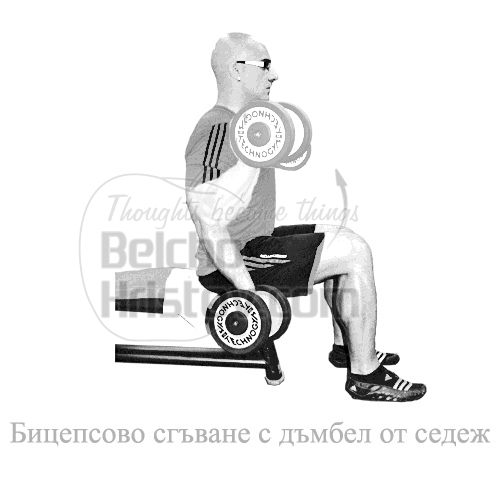 Бицепсово сгъване с дъмбели от седеж