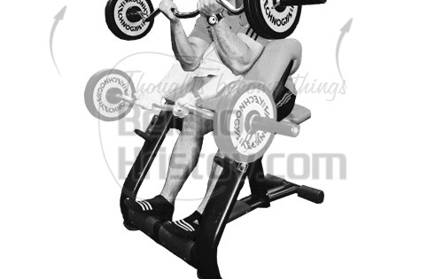 Бицепсово сгъване на Скотова пейка