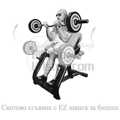 Бицепсово сгъване на Скотова пейка