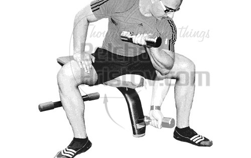 Концентрично сгъване за бицепс