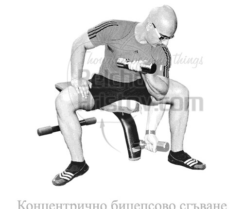 Концентрично сгъване за бицепс