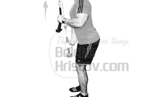 Трицепсово разгъване на скрипец