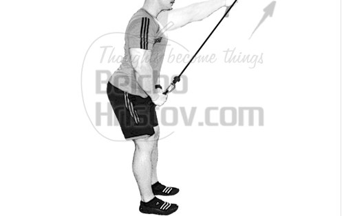 Пулоувър на скрипец за гръб