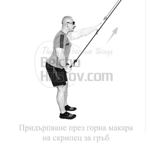 Пулоувър на скрипец за гръб