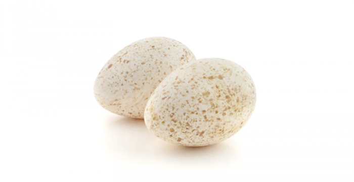 Яйце от пуйка | Turkey egg – състав, калории, рецепти и приложение в диетите