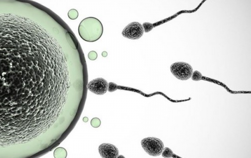 Фитнес тренировки при лоша спермограма (при доказани биотични причини) | Мъже