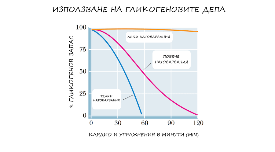 glikogen_kardio