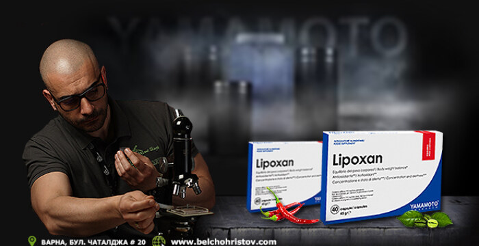 Lipoxan от Yamamoto Nutrition Research за горене на мазнини и отслабване
