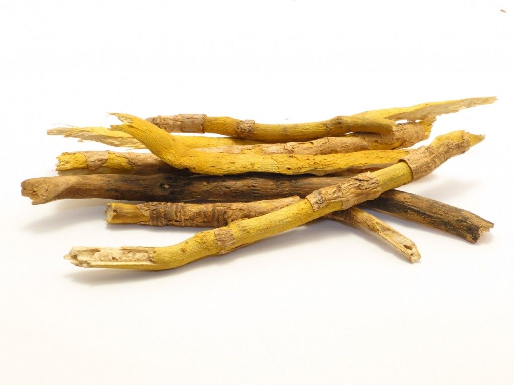 berberine_yamamoto_nutrition