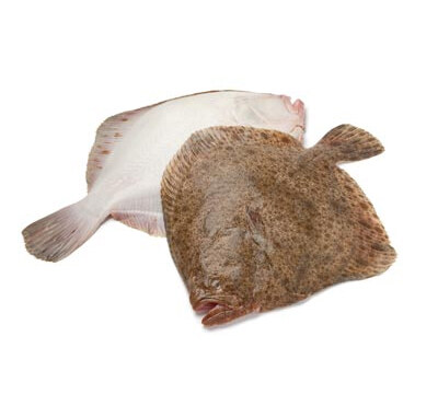 Калкан | Turbot – състав, калории, рецепти и приложение в диетите