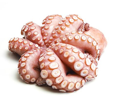 Октопод | Octopus – състав, калории, рецепти и приложение в диетите