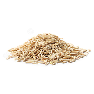 ПРЕДТРЕНИРОВЪЧНО ХРАНЕНЕ