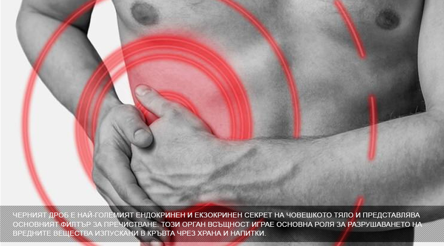 cheren_drob_dobavki_hranitelni