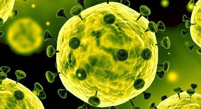 Какво е Коронавирус?