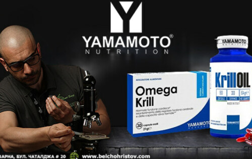 Ето защо маслото от крил (Krill Oil) е по-добро от рибеното масло (Fish Oil)