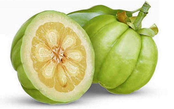 garcinia_kambodja_1