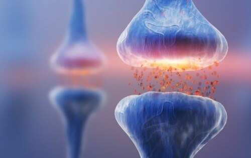 ГАБА (GABA) – описание, действие, ползи и прием (приложение)