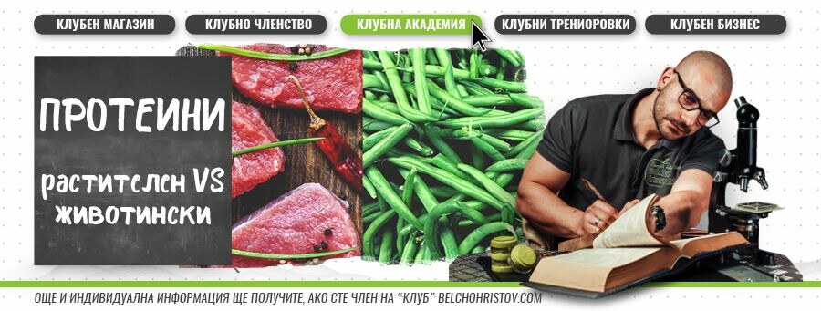 Растителен VS Животинкси протеин: каква е разликата?