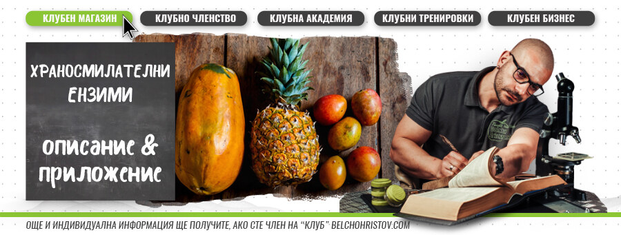 Храносмилателни ензими – описание, действие, ползи и приложение