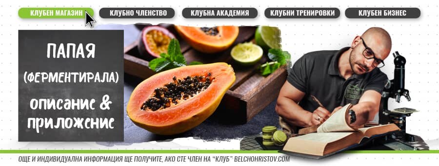 Папая (ферментирала) – описание, действие, ползи и прием (приложение)