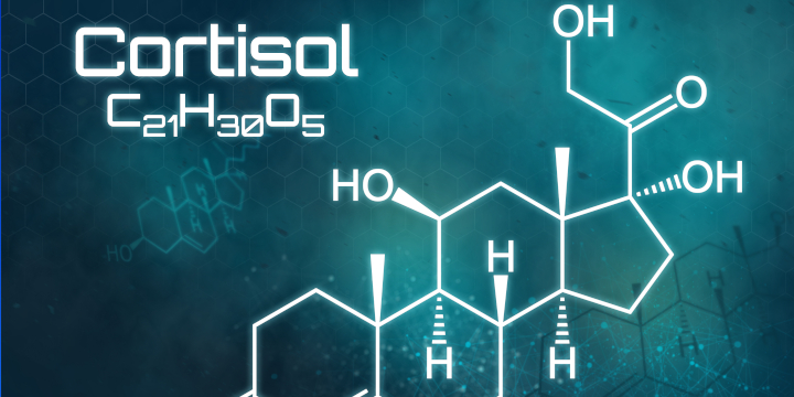 cortisol_dieta