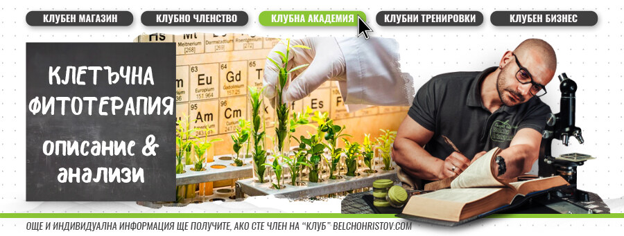 Фитотерапия – описание, ползи и приложение