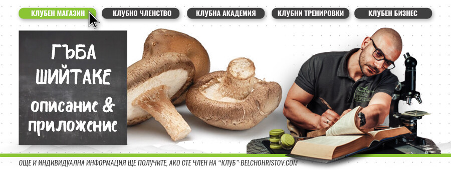 Шийтаке – описание, действие, ползи и прием (приложение)