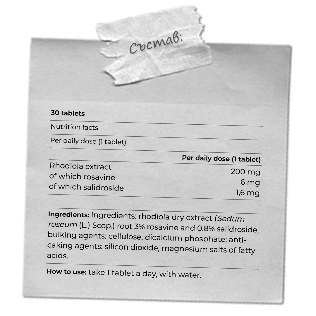 RODIOLA - 30 ТАБЛЕТКИ / 30 ДОЗИ - Image 2