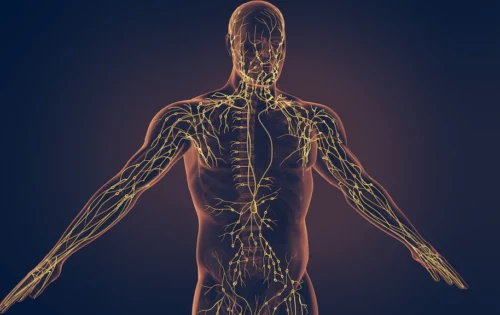 10 блокера, които запушват лимфната ви система